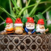 Mini Plant Pot Naughty Gnomes