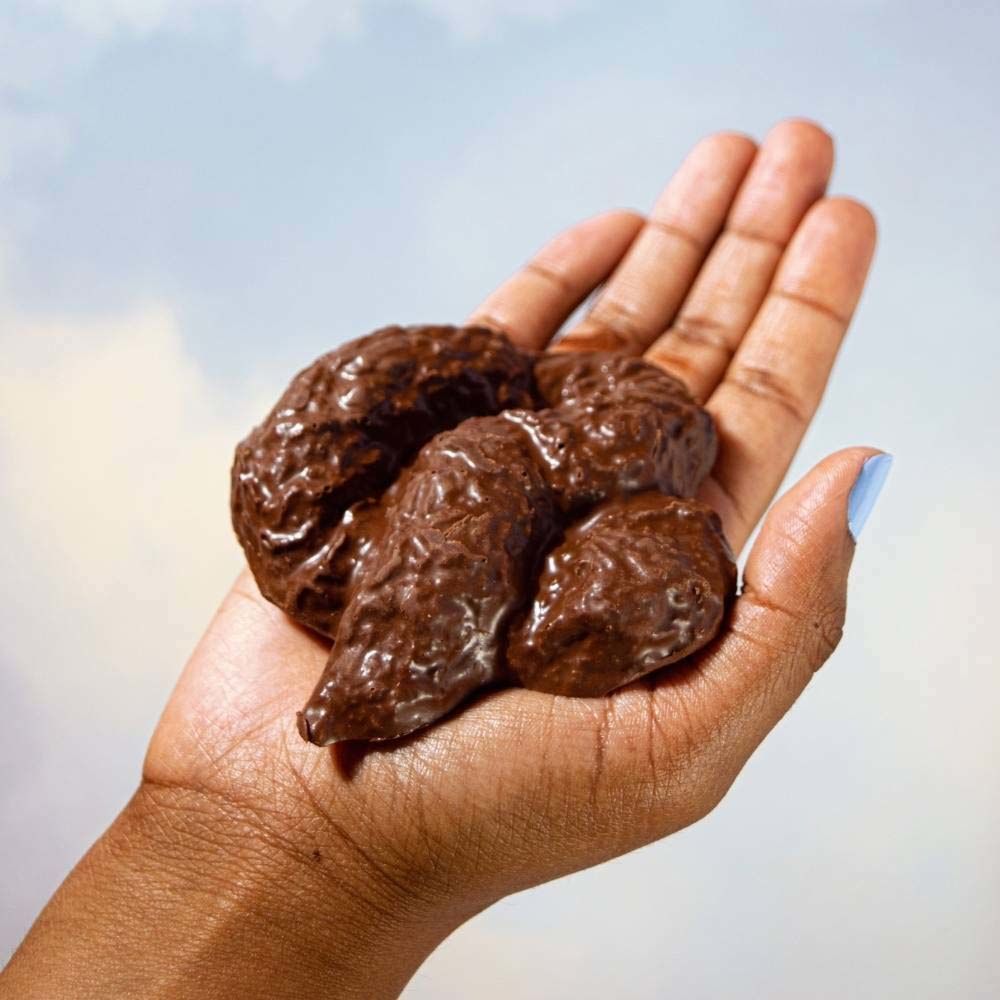 Chocolate Poo