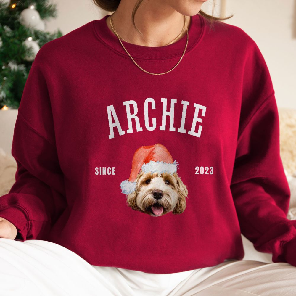 Personalisierbarer Pullover mit Haustier und Weihnachtsmütze