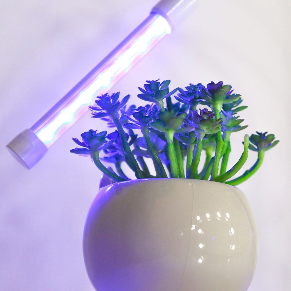 Wicked Waterer Plant Grow Light