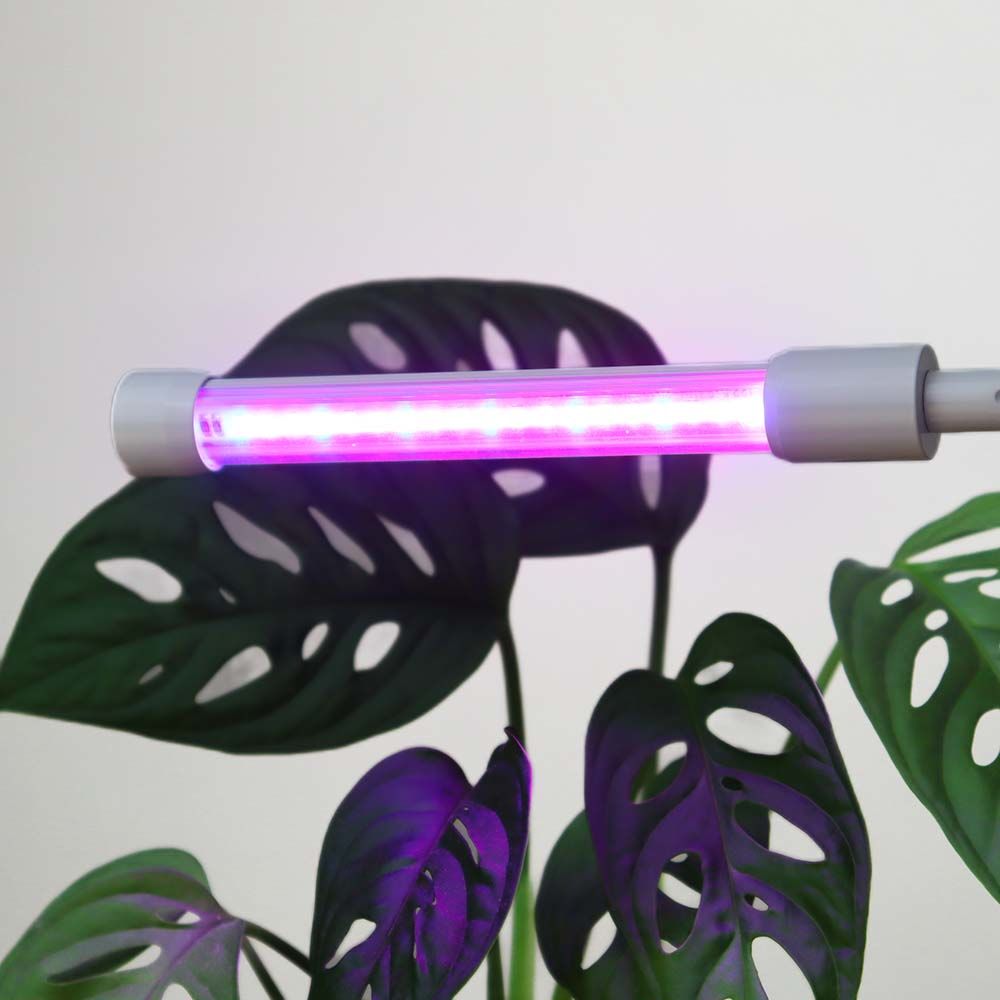 Wicked Waterer Plant Grow Light