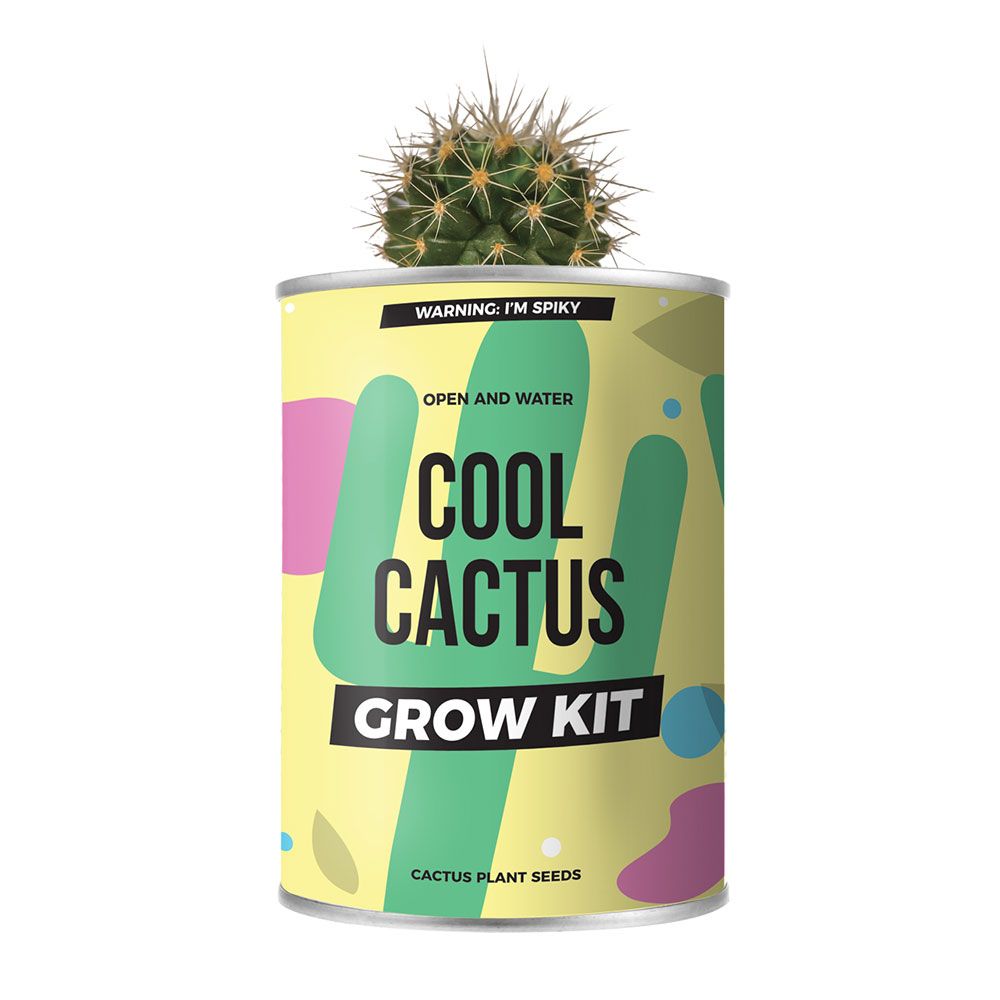 Cool Cactus Grow Kit
