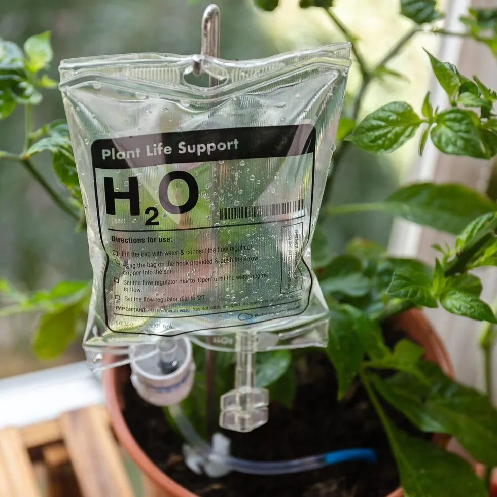 Plant Life Support