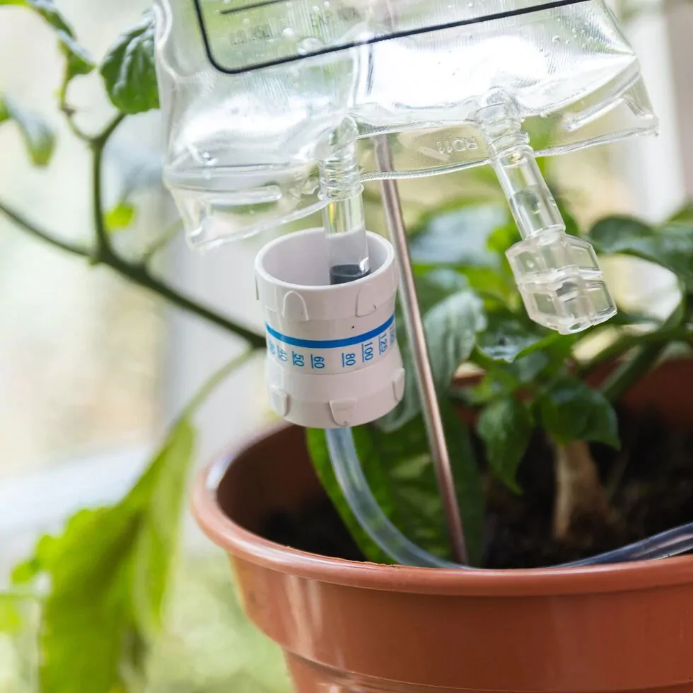Plant Life Support