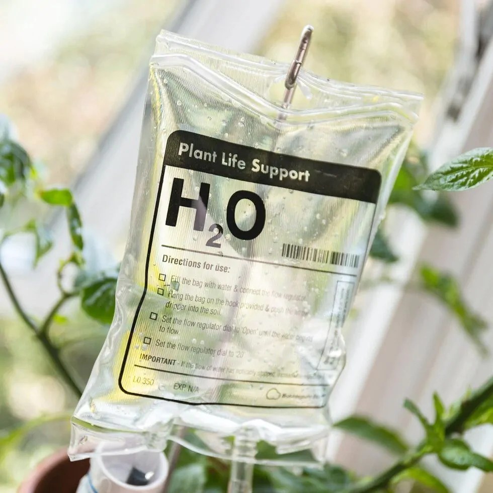 Plant Life Support