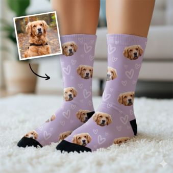 Personalised Pet Socks