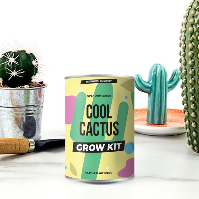 Cool Cactus Grow Kit