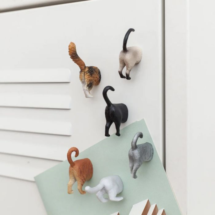 Cat Butt Magnets