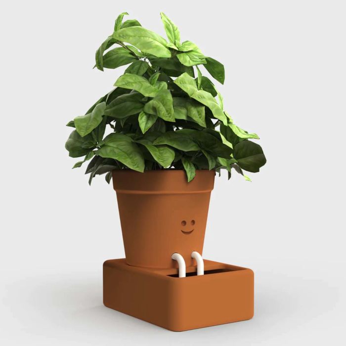 Self Care Planter