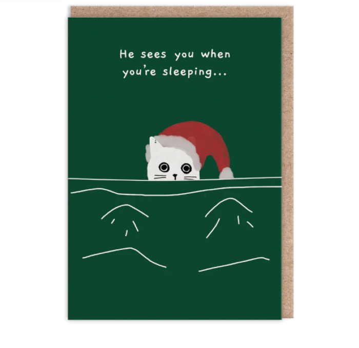 He Sees You When You're Sleeping Cat Christmas Card
