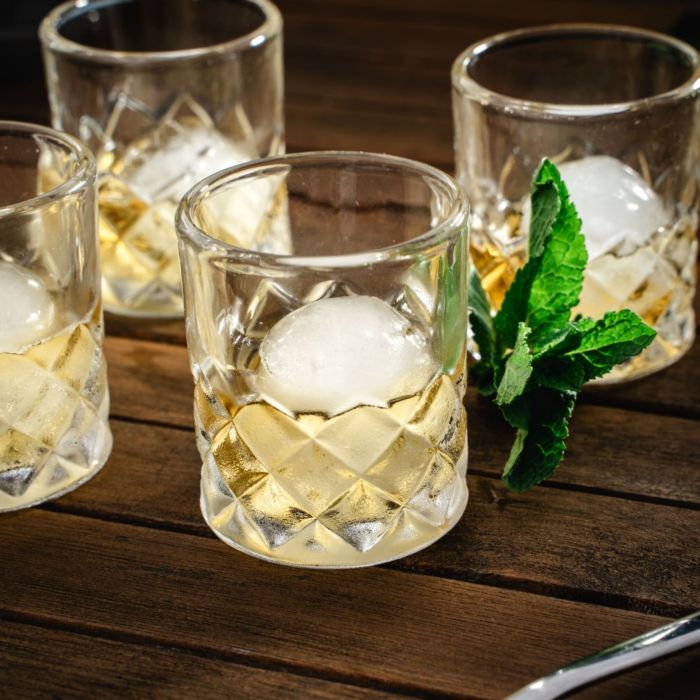 Shot Glasses and Ice Tray Set