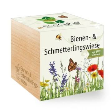 Ecocube Plant Grow Kits - Bee & Butterfly Meadow