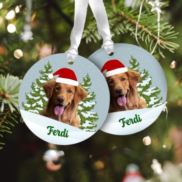 Personalised Pet Tree Decorations with Name - Design