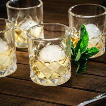 Shot Glasses and Ice Tray Set