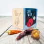Ecocube Chilli Plant Grow-Kits