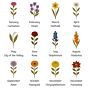 Personalisierbarer Blumentopf mit Geburtsblumen
