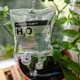 Plant Life Support